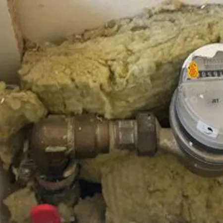 5 Star In *